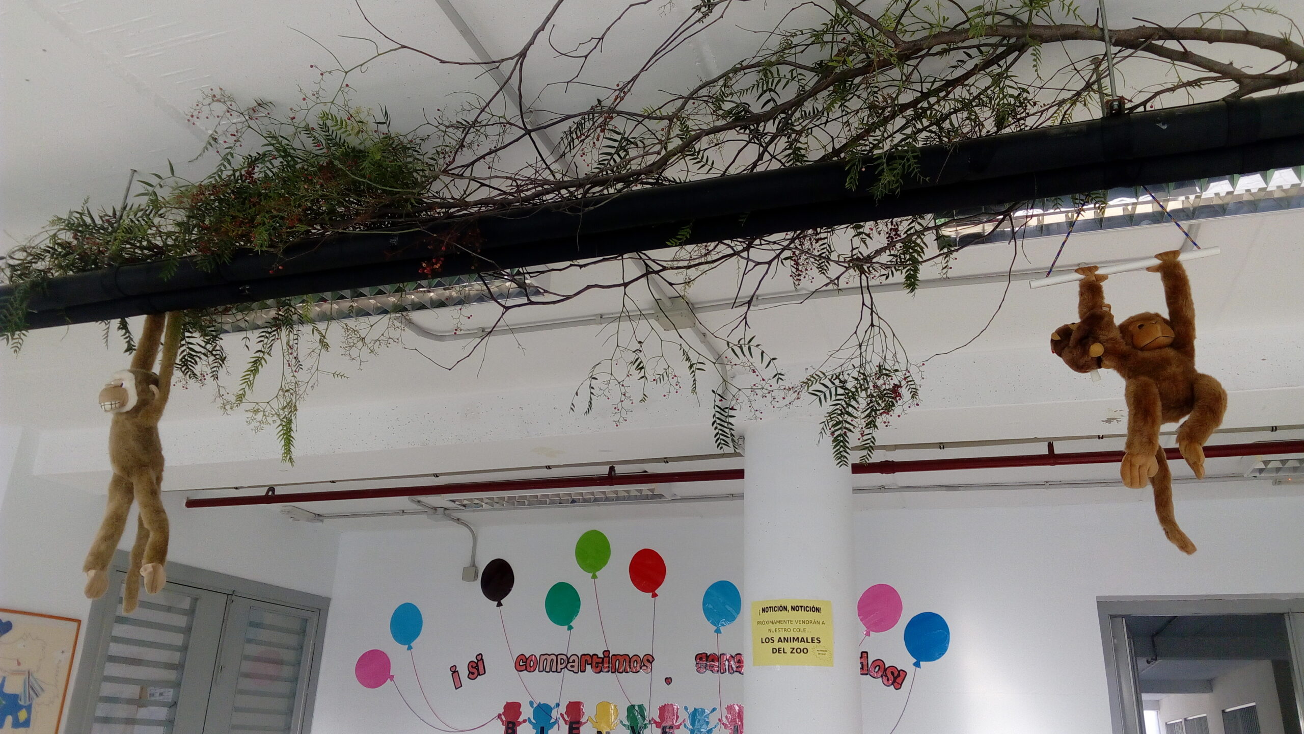 Proyecto Infantil